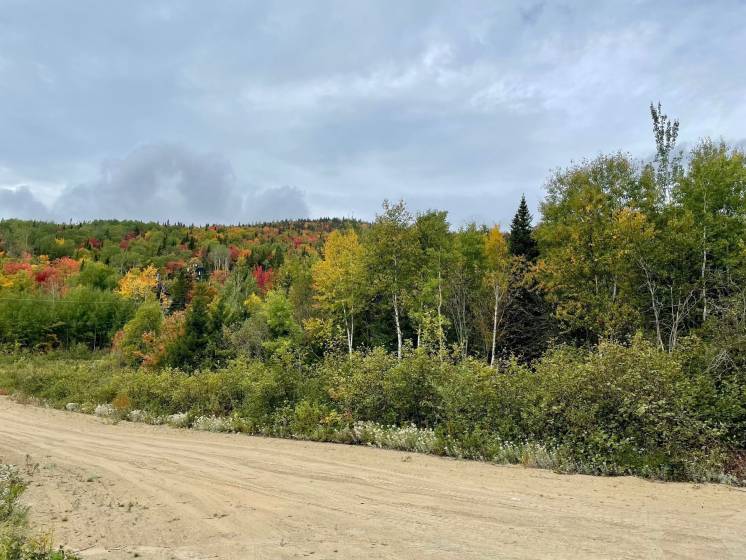 2 - Terrain et terre à vendre, Petite-Rivière-Saint-François (Code - pr825, Charlevoix)
