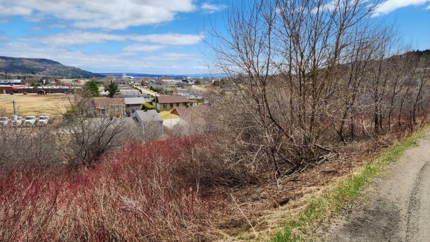 9 - Lot and land for sale, Baie-Saint-Paul (Code - sp851, Charlevoix)