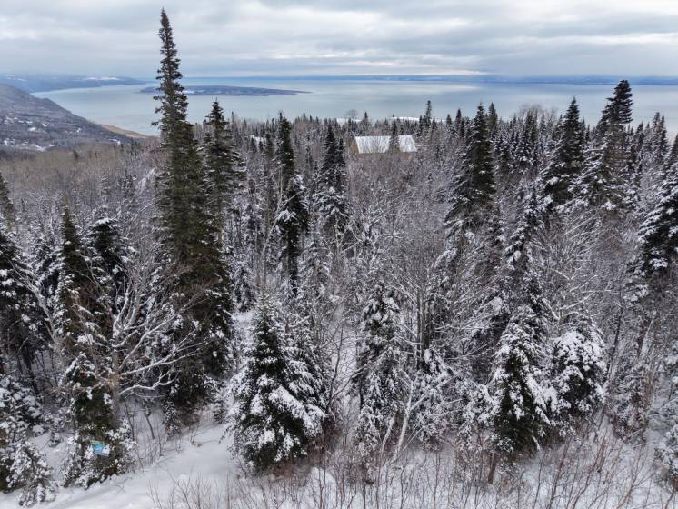 2 - Terrain et terre à vendre, Petite-Rivière-Saint-François (Code - pr835, Charlevoix)
