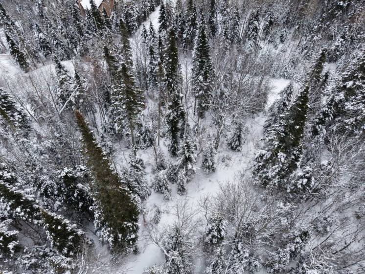 3 - Terrain et terre à vendre, Petite-Rivière-Saint-François (Code - pr835, Charlevoix)