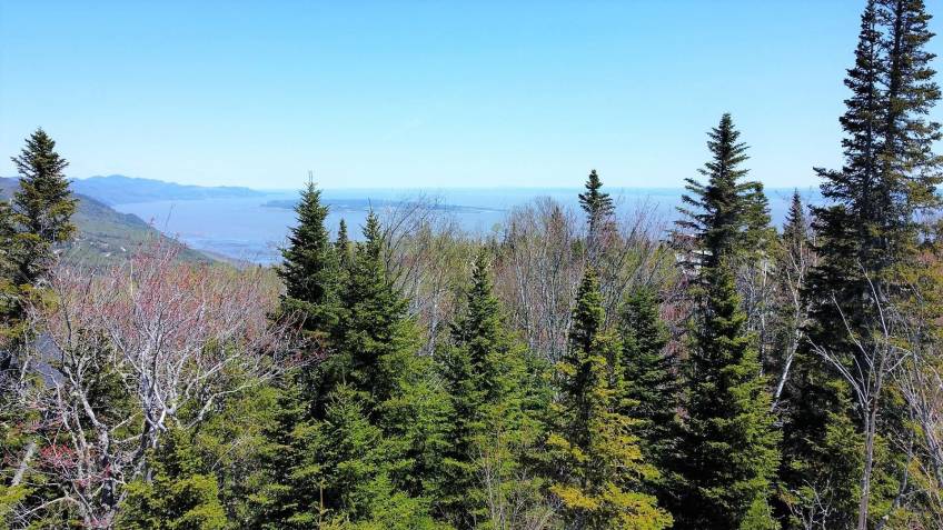 5 - Terrain et terre à vendre, Petite-Rivière-Saint-François (Code - pr835, Charlevoix)