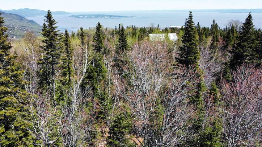 6 - Terrain et terre à vendre, Petite-Rivière-Saint-François (Code - pr835, Charlevoix)