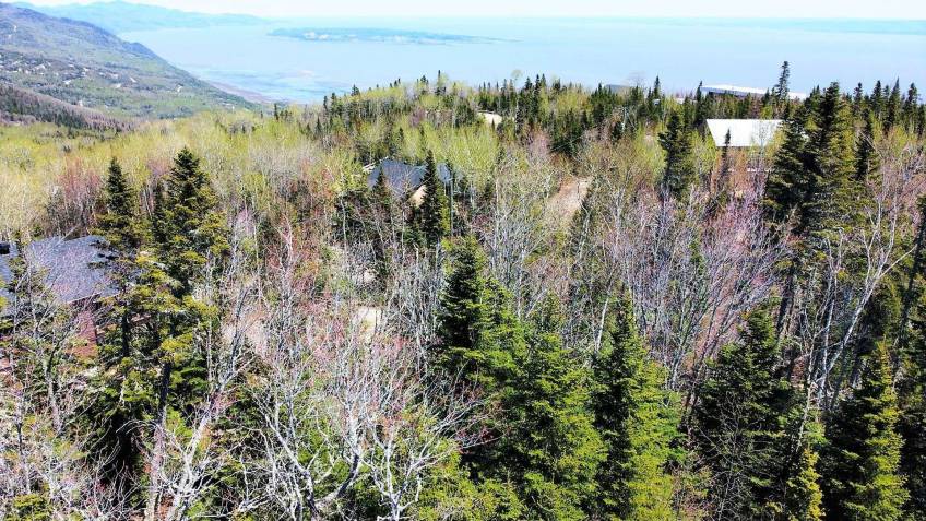 7 - Terrain et terre à vendre, Petite-Rivière-Saint-François (Code - pr835, Charlevoix)
