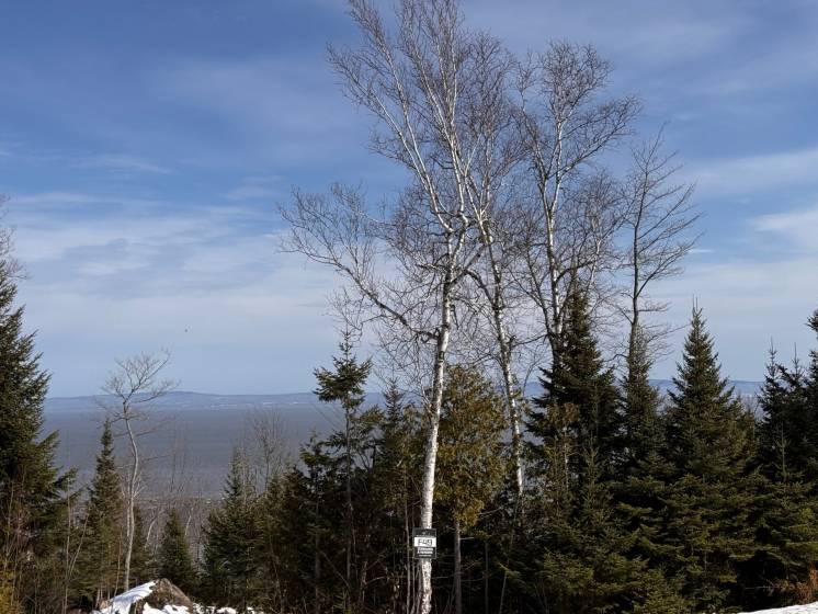 3 - Lot and land for sale, Petite-Rivière-Saint-François (Code - pr838, Charlevoix)