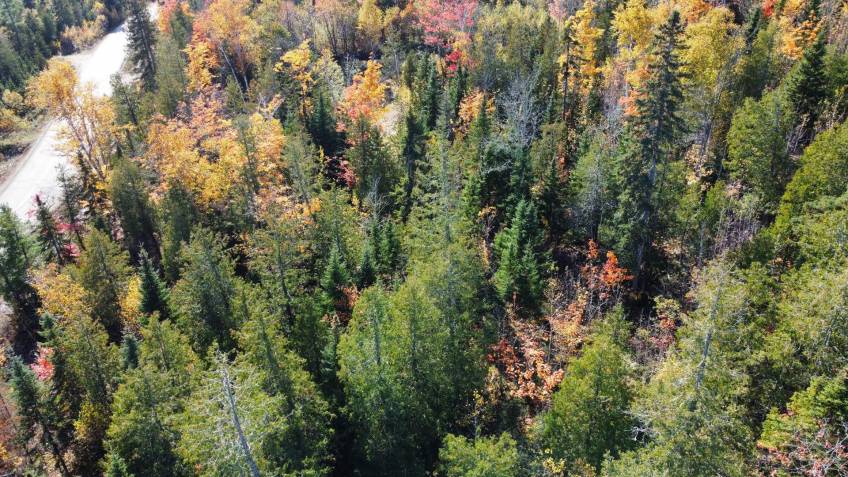 3 - Lot and land for sale, Petite-Rivière-Saint-François (Code - pr805, Charlevoix)