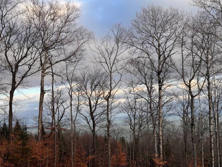 6 - Lot and land for sale, Petite-Rivière-Saint-François (Code - pr789, Charlevoix)