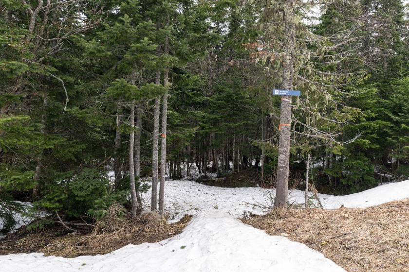 20 - House for sale, Petite-Rivière-Saint-François (Code - pr806, Charlevoix)