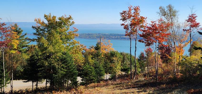 1 - Terrain et terre à vendre, Les Éboulements (Code - eb310, Charlevoix)