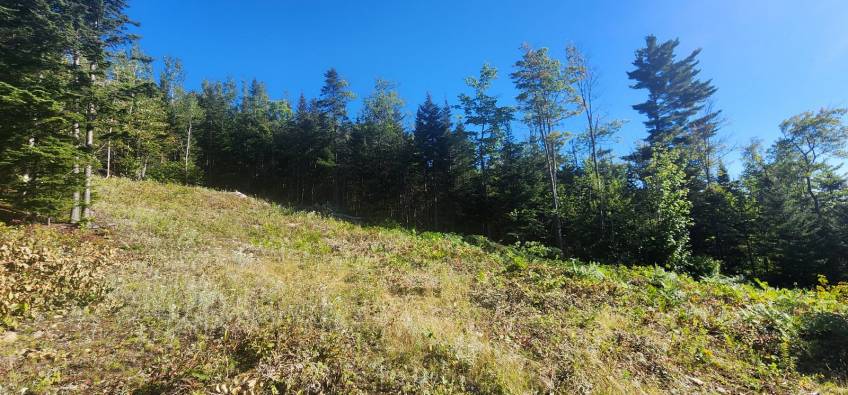 10 - Terrain et terre à vendre, Les Éboulements (Code - eb310, Charlevoix)