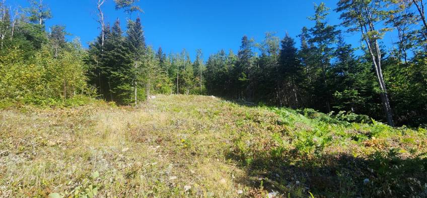 11 - Terrain et terre à vendre, Les Éboulements (Code - eb310, Charlevoix)