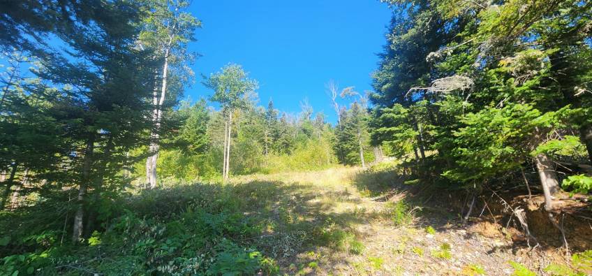 12 - Terrain et terre à vendre, Les Éboulements (Code - eb310, Charlevoix)