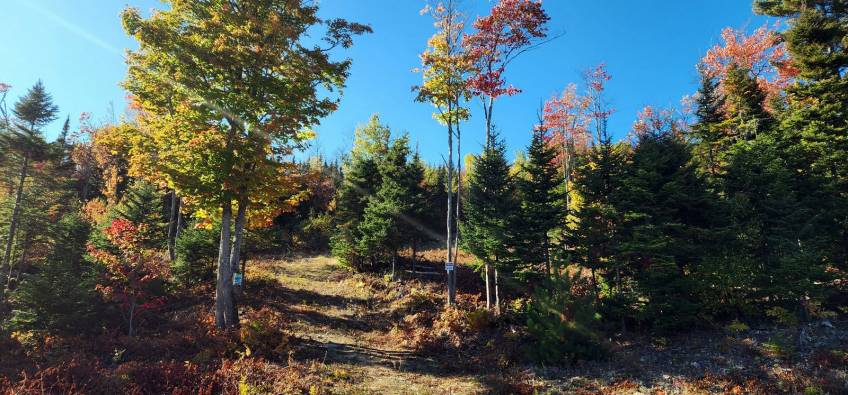 13 - Terrain et terre à vendre, Les Éboulements (Code - eb310, Charlevoix)