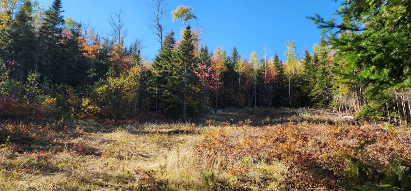 14 - Terrain et terre à vendre, Les Éboulements (Code - eb310, Charlevoix)