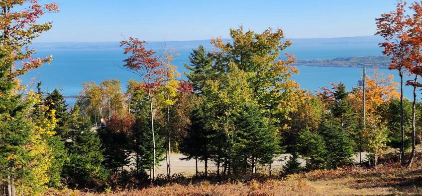 15 - Terrain et terre à vendre, Les Éboulements (Code - eb310, Charlevoix)
