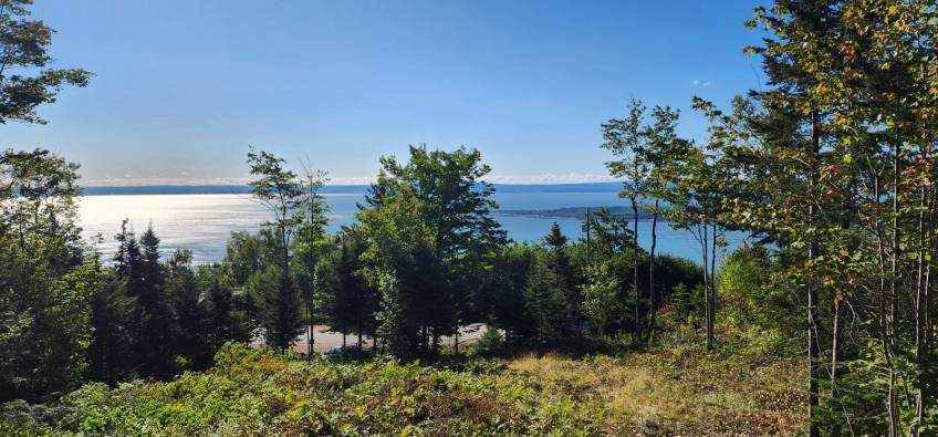 16 - Terrain et terre à vendre, Les Éboulements (Code - eb310, Charlevoix)
