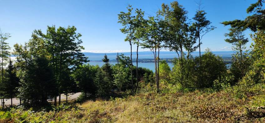 17 - Terrain et terre à vendre, Les Éboulements (Code - eb310, Charlevoix)