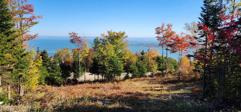 4 - Terrain et terre à vendre, Les Éboulements (Code - eb310, Charlevoix)