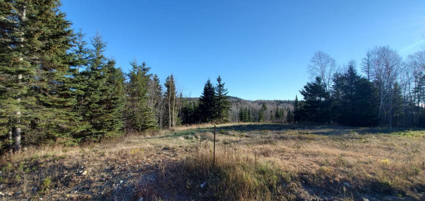 3 - Lot and land for sale, Les Éboulements (Code - eb303, Charlevoix)