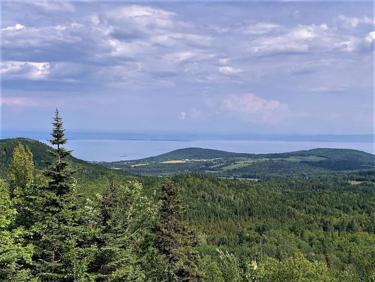 1 - Lot and land for sale, Les Éboulements (Code - eb320, Charlevoix)