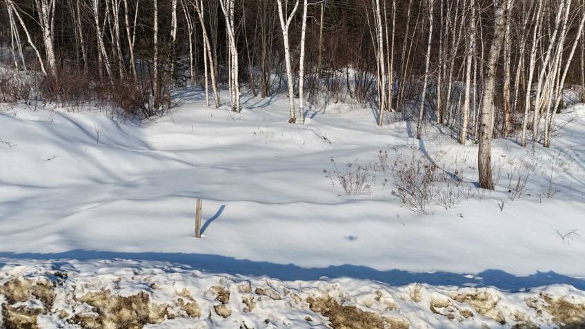 3 - Terrain et terre à vendre, Baie-Saint-Paul (Code - sp920, Charlevoix)