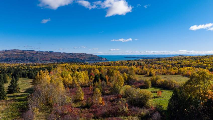 1 - Lot and land for sale, Baie-Saint-Paul (Code - sp942, Charlevoix)