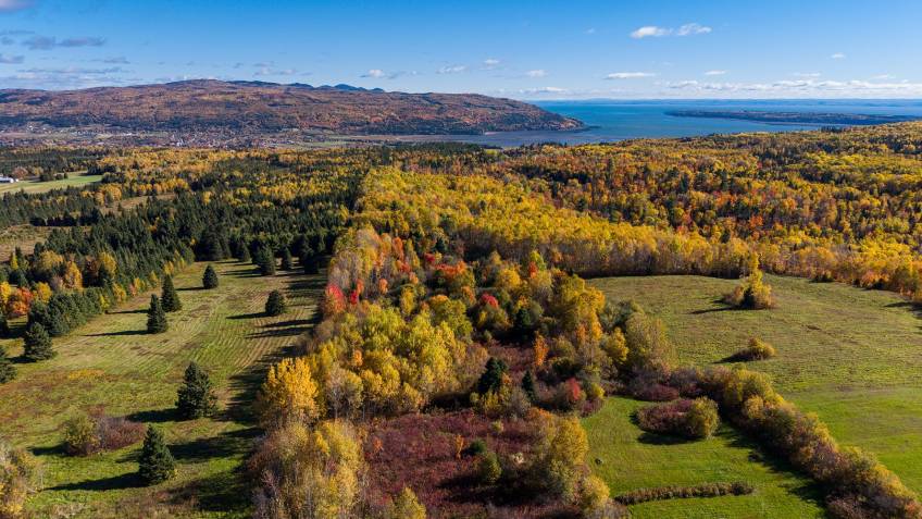 3 - Lot and land for sale, Baie-Saint-Paul (Code - sp942, Charlevoix)