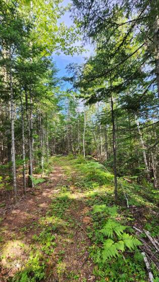 22 - House for sale, Baie-Saint-Paul (Code - sp873, Charlevoix)