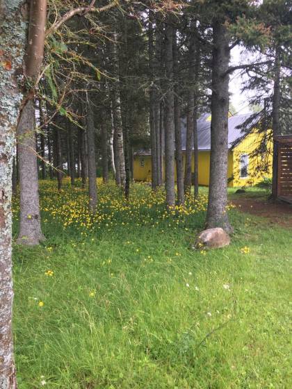 30 - House for sale, Saint-Irénée (Code - si179, Charlevoix)